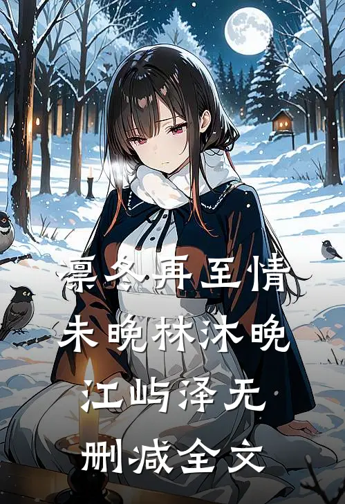 凛冬再至情未晚林沐晚江屿泽无删减全文