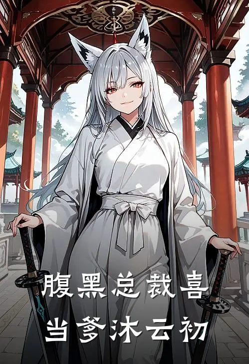 腹黑总裁喜当爹沐云初