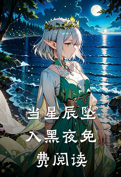 当星辰坠入黑夜免费阅读