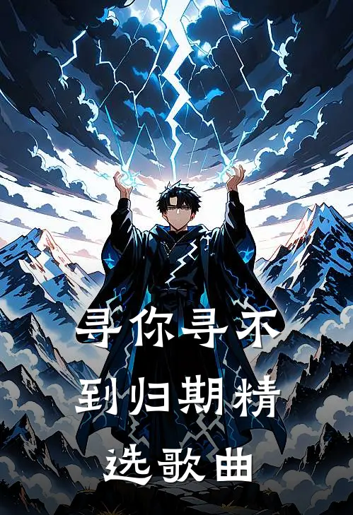 寻你寻不到归期精选歌曲