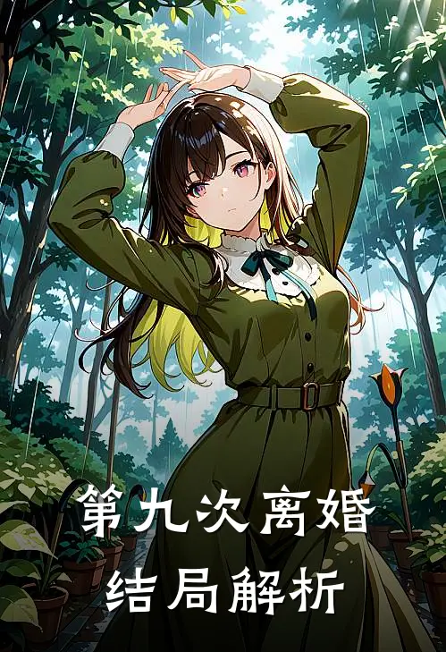 第九次离婚结局解析