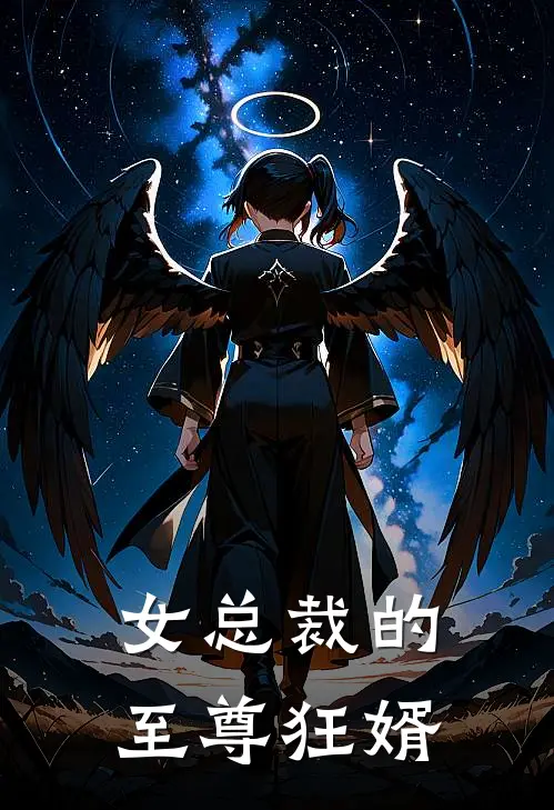 女总裁的至尊狂婿