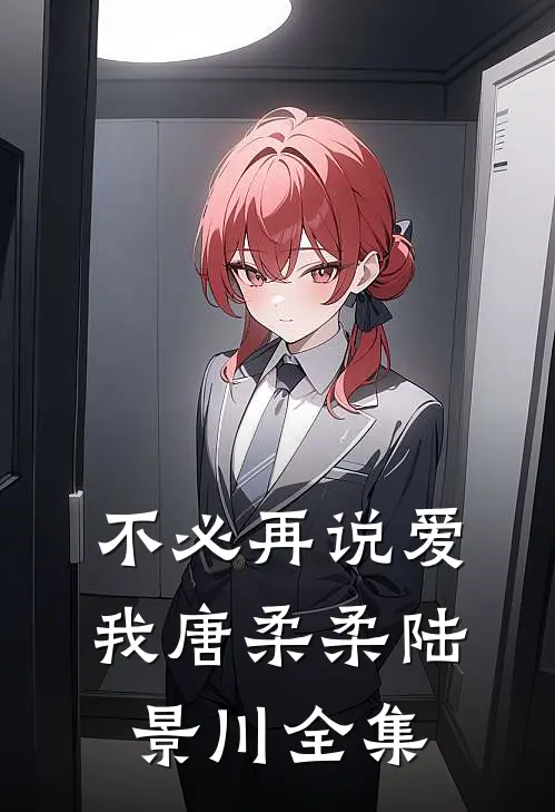 不必再说爱我唐柔柔陆景川全集
