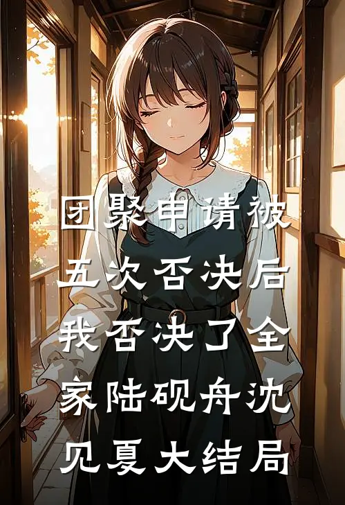 团聚申请被五次否决后，我否决了全家陆砚舟沈见夏大结局