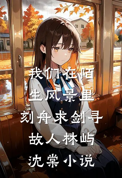 我们在陌生风景里，刻舟求剑寻故人林屿沈棠小说