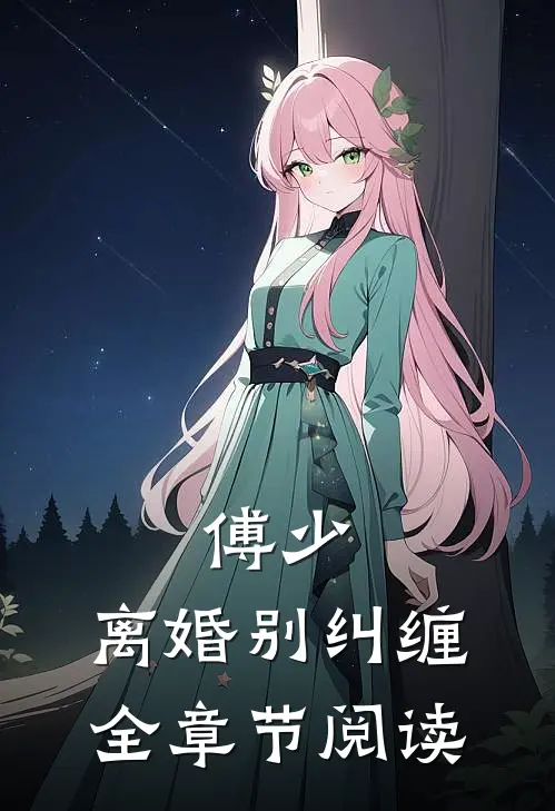 傅少，离婚别纠缠全章节阅读