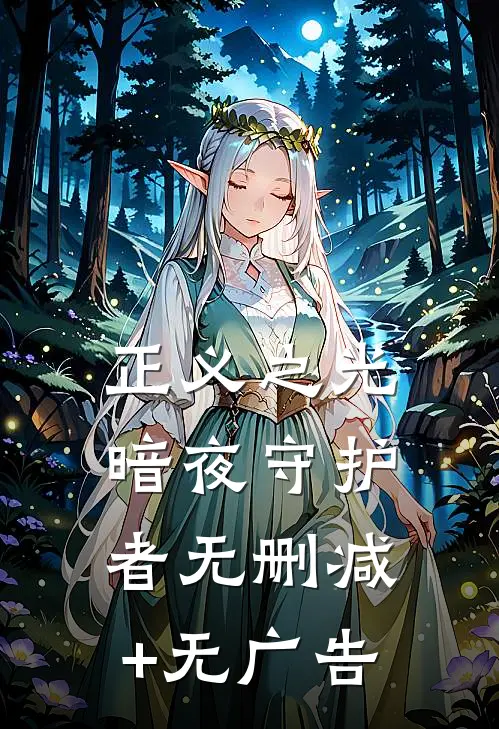 正义之光：暗夜守护者无删减+无广告