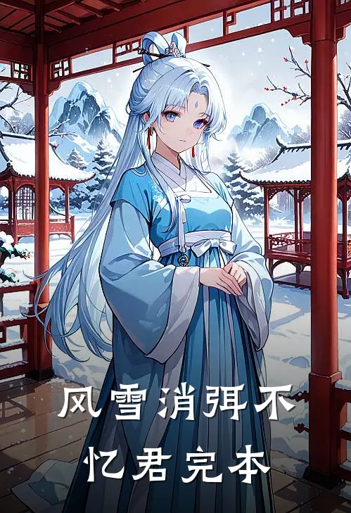 风雪消弭不忆君完本
