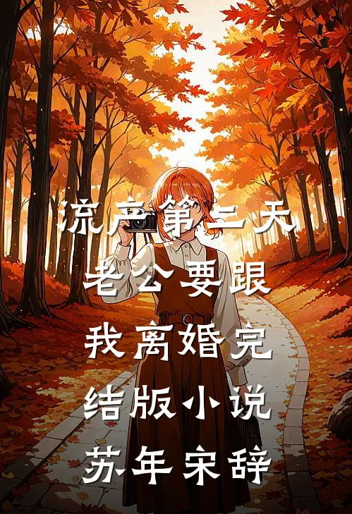 流产第二天，老公要跟我离婚完结版小说苏年宋辞