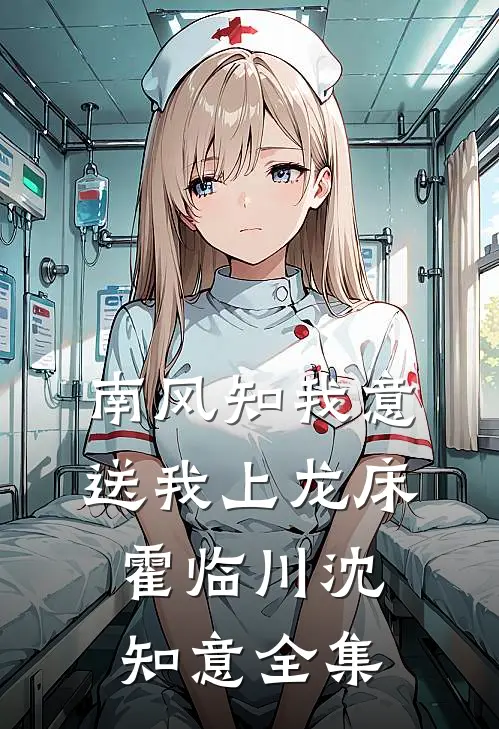 南风知我意，送我上龙床霍临川沈知意全集
