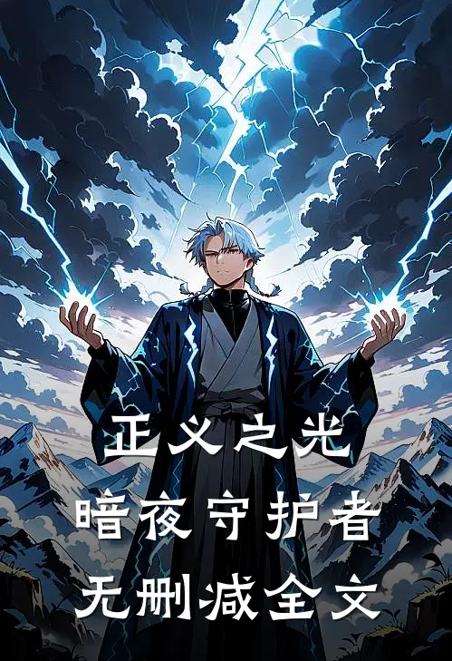 正义之光：暗夜守护者无删减全文