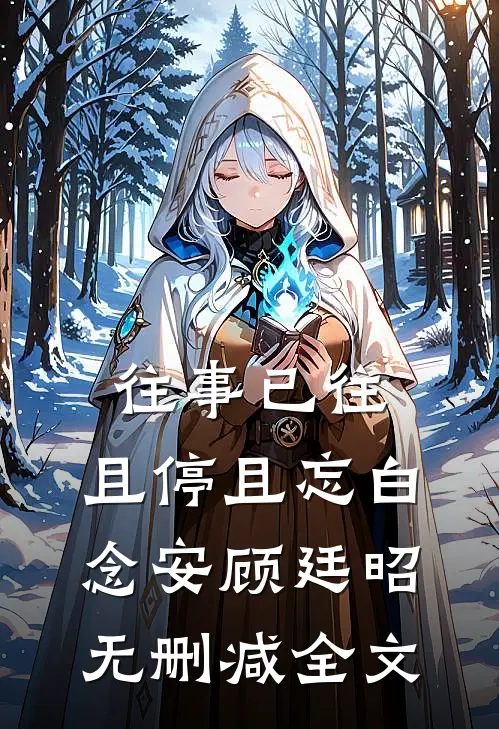 往事已往，且停且忘白念安顾廷昭无删减全文