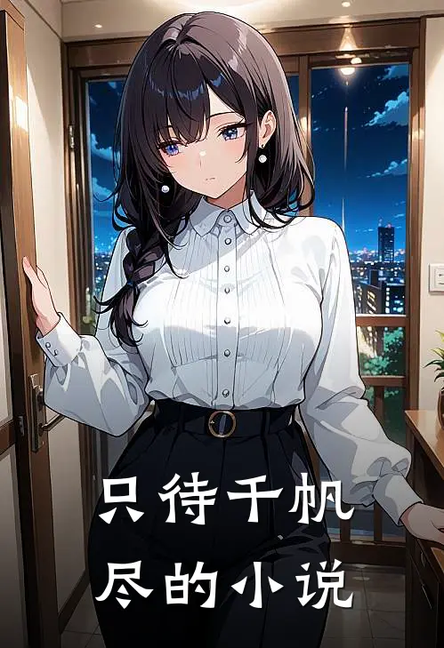 只待千帆尽的小说