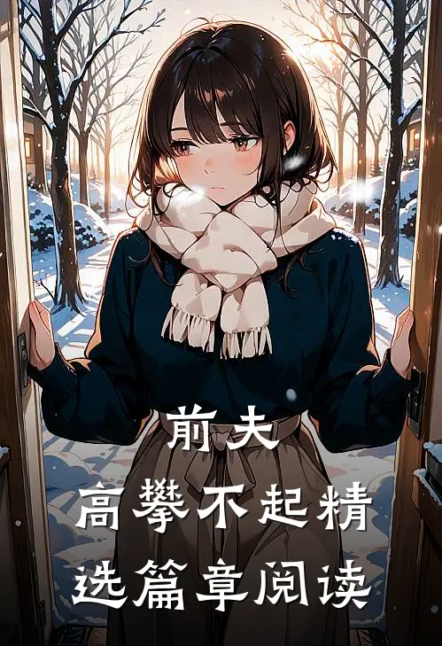 前夫,高攀不起精选篇章阅读