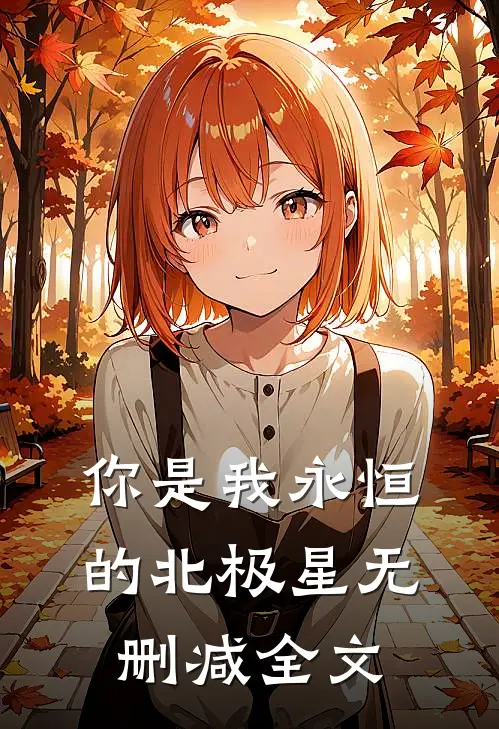 你是我永恒的北极星无删减全文
