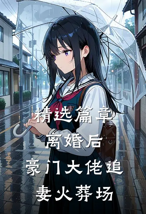 精选篇章离婚后，豪门大佬追妻火葬场