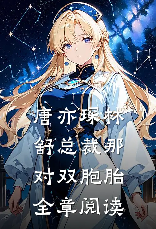 唐亦琛林舒总裁那对双胞胎全章阅读