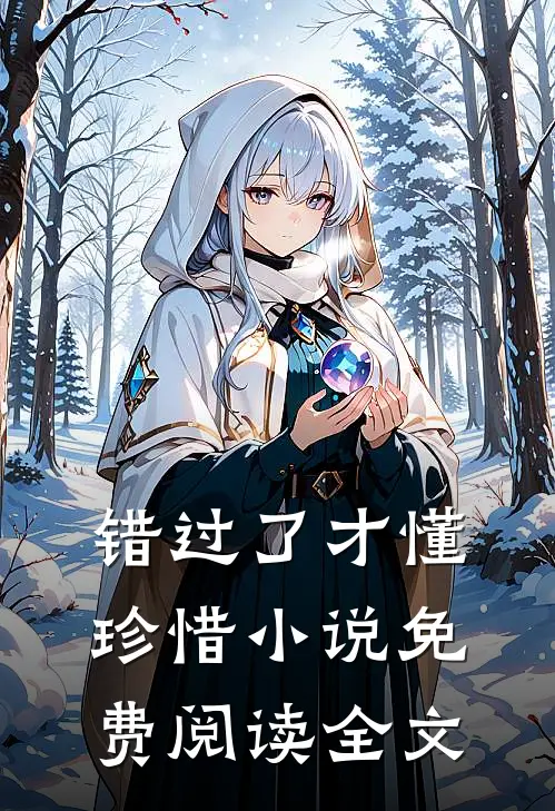 错过了才懂珍惜小说免费阅读全文