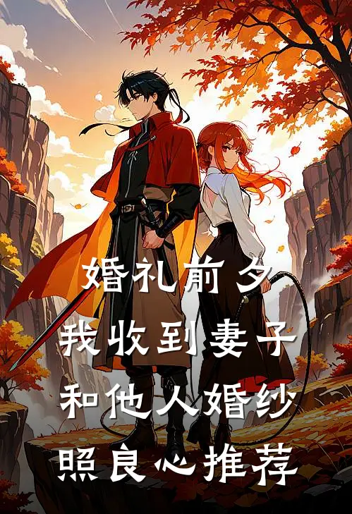婚礼前夕，我收到妻子和他人婚纱照良心推荐