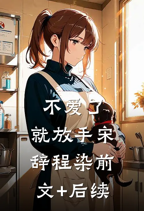 不爱了，就放手宋辞程染前文+后续