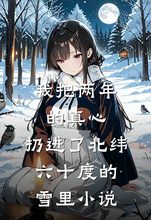 我把两年的真心，扔进了北纬六十度的雪里小说
