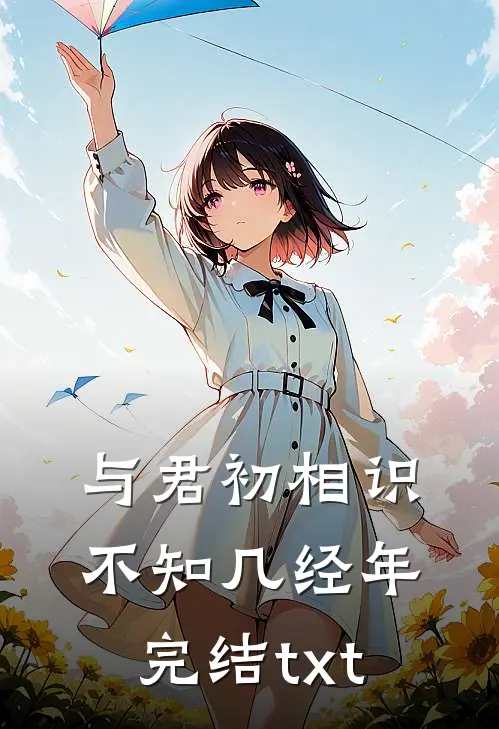 与君初相识，不知几经年完结txt