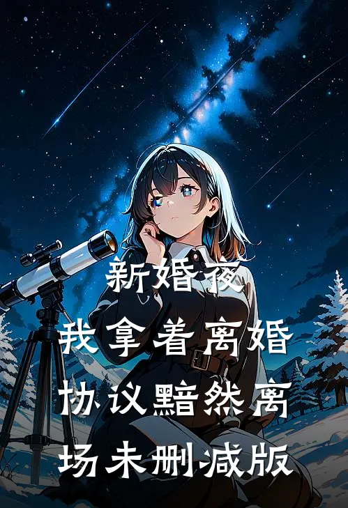 新婚夜，我拿着离婚协议黯然离场未删减版