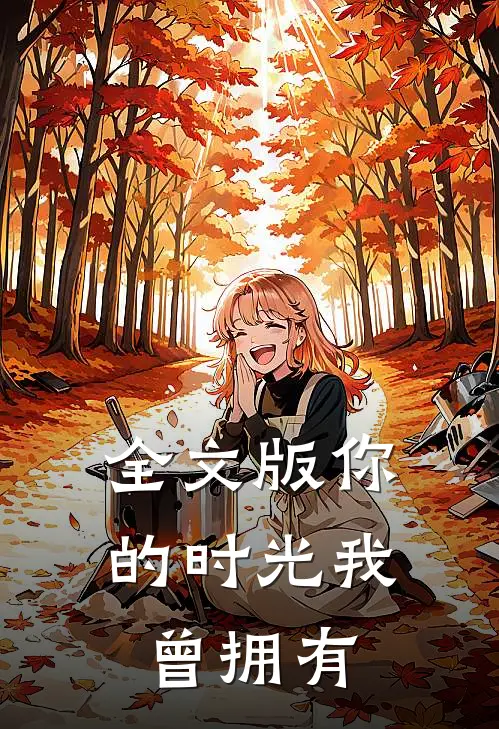 全文版你的时光我曾拥有