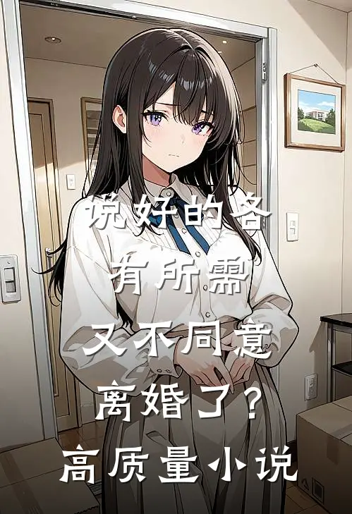 说好的各有所需，又不同意离婚了？高质量小说