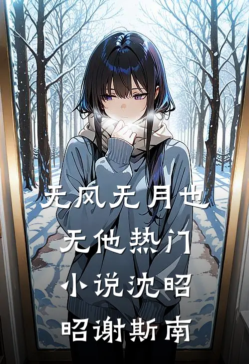 无风无月也无他热门小说沈昭昭谢斯南