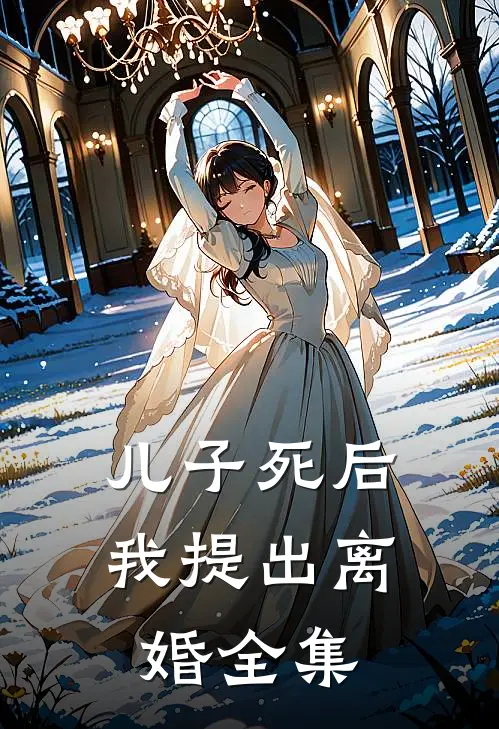 儿子死后，我提出离婚 全集