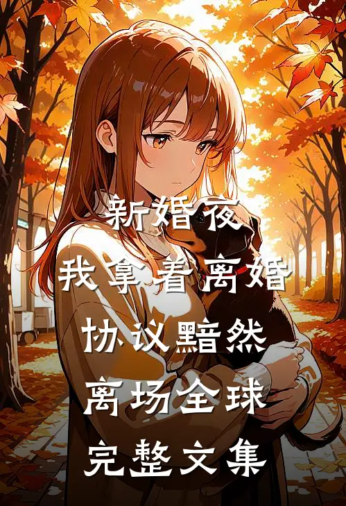 新婚夜，我拿着离婚协议黯然离场全球完整文集