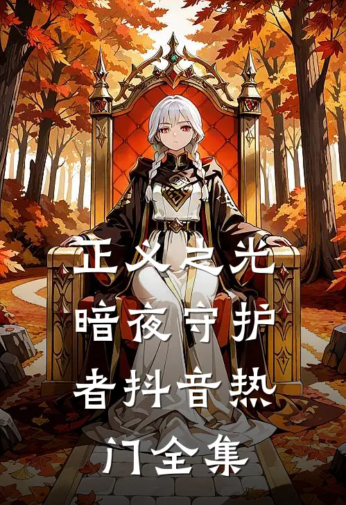 正义之光：暗夜守护者抖音热门 全集