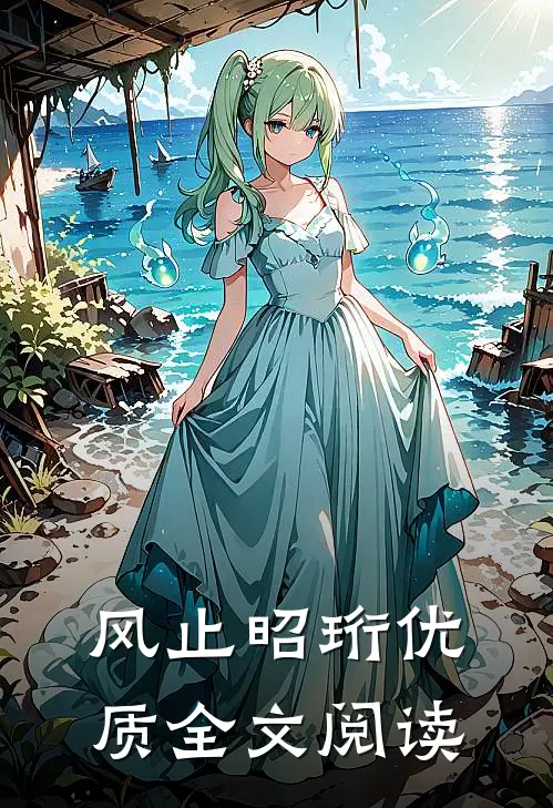 风止昭珩优质全文阅读